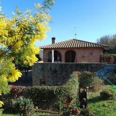 Podere Luma Roseto - Mimosa