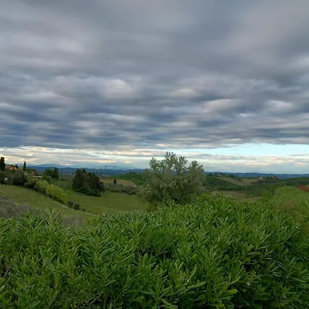 Podere Luma Roseto - Mimosa Gambassi Terme