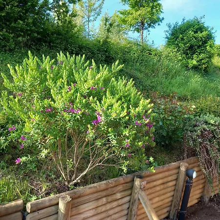 Podere Luma Roseto - Mimosa Lantgård Gambassi Terme